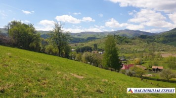 teren-750-mp-intravilan-rucar-3