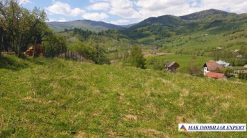 teren-750-mp-intravilan-rucar-6