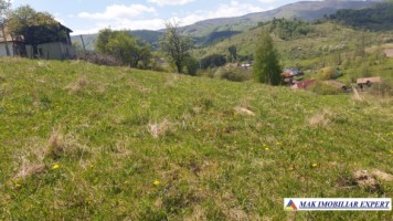 teren-750-mp-intravilan-rucar-7