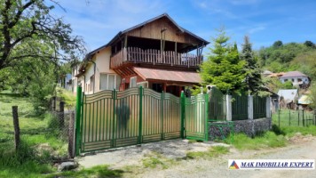 urgent-vila-cu-6-camere-de-vanzare-in-malu-godeni-arges-teren-de-1000-mp-5