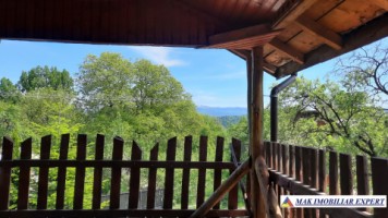 urgent-vila-cu-6-camere-de-vanzare-in-malu-godeni-arges-teren-de-1000-mp-25