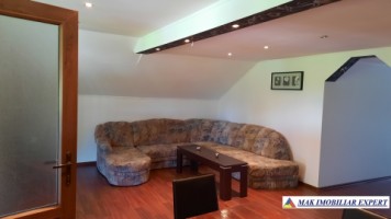 urgent-vila-cu-6-camere-de-vanzare-in-malu-godeni-arges-teren-de-1000-mp-27