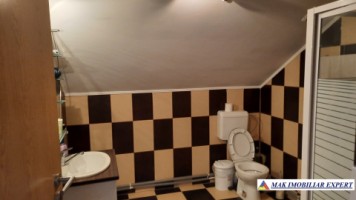urgent-vila-cu-6-camere-de-vanzare-in-malu-godeni-arges-teren-de-1000-mp-30