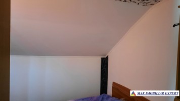 urgent-vila-cu-6-camere-de-vanzare-in-malu-godeni-arges-teren-de-1000-mp-31