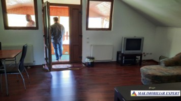 urgent-vila-cu-6-camere-de-vanzare-in-malu-godeni-arges-teren-de-1000-mp-36