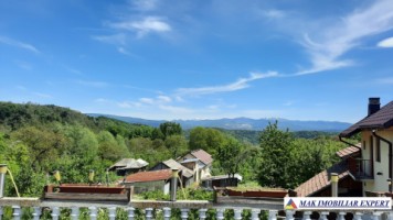 urgent-vila-cu-6-camere-de-vanzare-in-malu-godeni-arges-teren-de-1000-mp-46