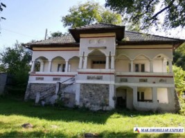 vila-stil-conac-cu-5-camere-de-vanzare-in-godeni-arges-teren-800-mp