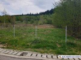 teren-intravilan-5800-mp-valea-marului-leresti-arges-ideal-pentru-dezvoltare-rezidentiala