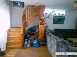 vila-cu-4-camere-si-teren-de-1150-mp-de-vanzare-in-bradulet-arges-ideala-pentru-locuinta-de-familie-6