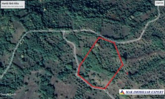 teren-extravilan-7500-mp-de-vanzare-in-marcus-campulung-muscel-arges-ideal-pentru-agricultura-sau-investitie