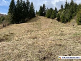 teren-intravilan-7228-mp-de-vanzare-rucar-satic-arges-2