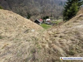 teren-intravilan-7228-mp-de-vanzare-rucar-satic-arges-3