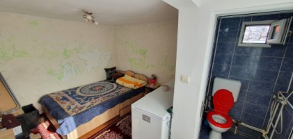brazi-casa-renovata-2-camere-grup-sanitar-630mp-teren-36000-euro-12