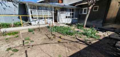 central-buna-vestire-casa-3cam-teren-227-mp-la-53900-euro-15
