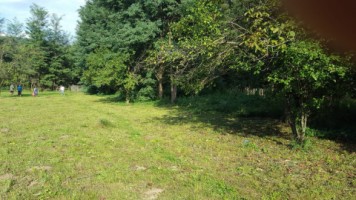 livadea-zona-varbilau-teren-intravilan-5627-mp-10-eump-1