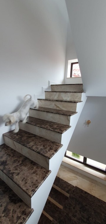 ploiesti-albert-vila-noua-dpem-finisari-lux-430000-euro-8
