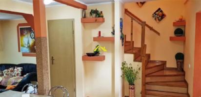 casa-in-regim-cuplat-de-vanzare-alba-micesti-1