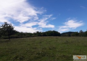 teren-intravilan-de-vanzare-in-paclisa