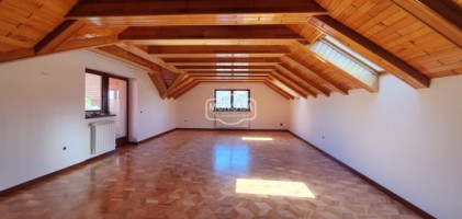 vila-p1m-zona-centrala-si-linistita-cu-teren-1300-mp-11