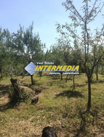 casa-de-vanzare-pe-cu-1200-mp-teren-in-micesti-2