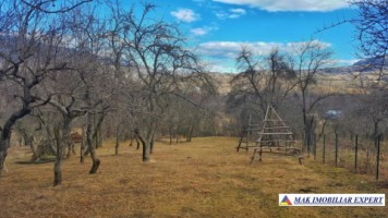 casa-de-vanzare-arges-casa-3-camere-cu-teren-de-1800-mp-in-corbeni-19
