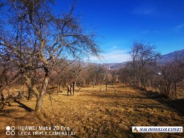 casa-de-vanzare-arges-casa-3-camere-cu-teren-de-1800-mp-in-corbeni-22