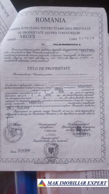 pachet-loturi-teren-insumand-129-ha-extravilan-valsanesti-musatesti-arges-3