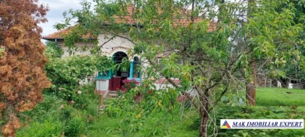 tepar-casa-4-camere-teren-1325-mp-schitu-golesti-36