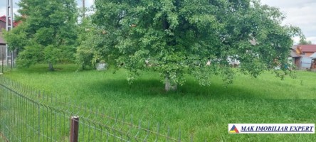 tepar-casa-4-camere-teren-1325-mp-schitu-golesti-39