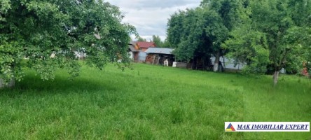 tepar-casa-4-camere-teren-1325-mp-schitu-golesti-38