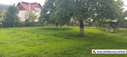tepar-casa-4-camere-teren-1325-mp-schitu-golesti-43