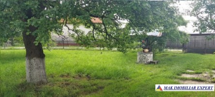 tepar-casa-4-camere-teren-1325-mp-schitu-golesti-44