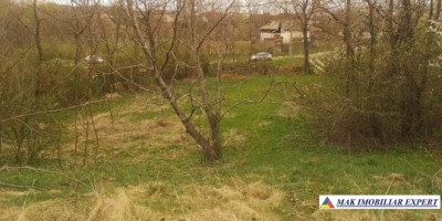teren-intravilan-2500-mp-stalpeni-arges-de-vanzare-2