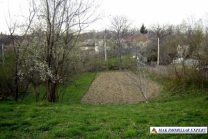 teren-intravilan-2500-mp-stalpeni-arges-de-vanzare