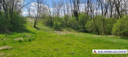 teren-intravilan-2500-mp-stalpeni-arges-de-vanzare-1