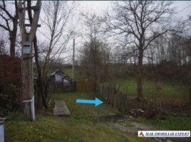 teren-intravilan-2500-mp-stalpeni-arges-de-vanzare-6