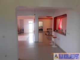 nu-mai-vinde-vila-8-camere-teren-2500-mp-schitu-golesti-4