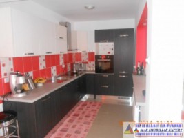 nu-mai-vinde-vila-8-camere-teren-2500-mp-schitu-golesti-5
