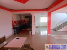 nu-mai-vinde-vila-8-camere-teren-2500-mp-schitu-golesti-8