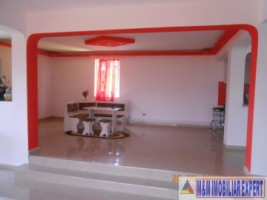 nu-mai-vinde-vila-8-camere-teren-2500-mp-schitu-golesti-9