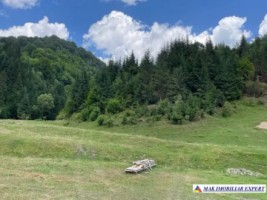 teren-intravilan-6000-mp-de-vanzare-rucar-satic-arges-ideal-pentru-proiecte-turistice-sau-rezidentiale