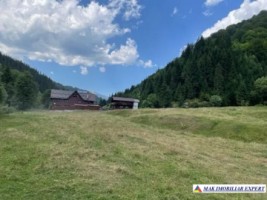 teren-intravilan-6000-mp-de-vanzare-rucar-satic-arges-ideal-pentru-proiecte-turistice-sau-rezidentiale-1