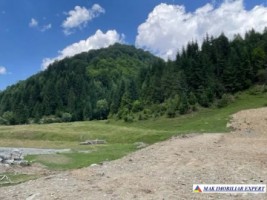 teren-intravilan-6000-mp-de-vanzare-rucar-satic-arges-ideal-pentru-proiecte-turistice-sau-rezidentiale-2