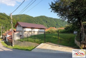 casa-5-camere-suprafata-400-mp-teren-800-mp-cetateni-pret-40000-euro-6