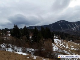 vila-8-camere-cu-teren-de-2000-mp-de-vanzare-in-dambovicioara-arges-potential-turistic-ridicat-5
