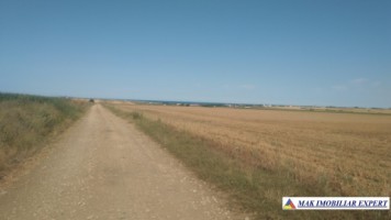 teren-808-mp-la-mare-intravilan-liman-vama-veche-ct
