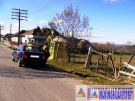 teren-3800-mp-intravilan-valea-mare-pravat-1