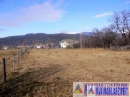 teren-3800-mp-intravilan-valea-mare-pravat-2