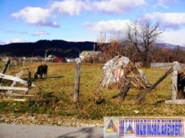 teren-3800-mp-intravilan-valea-mare-pravat-3