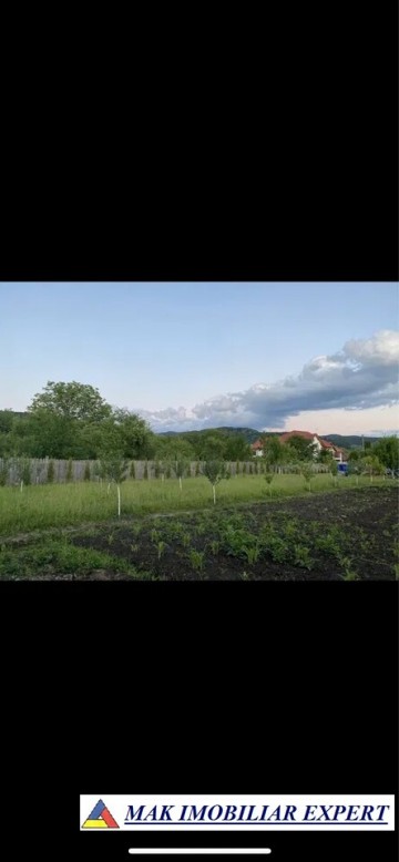 constructie-cu-placa-foisor-si-teren-3000-mp-de-vanzare-in-schitu-golesti-arges-3